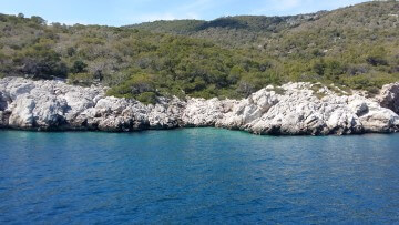 Basta con la plastica dispersa nei mari e mangiata dai pesci? Per adesso ancora no purtroppo. Un appello aperto: chi vuole aggiunga idee