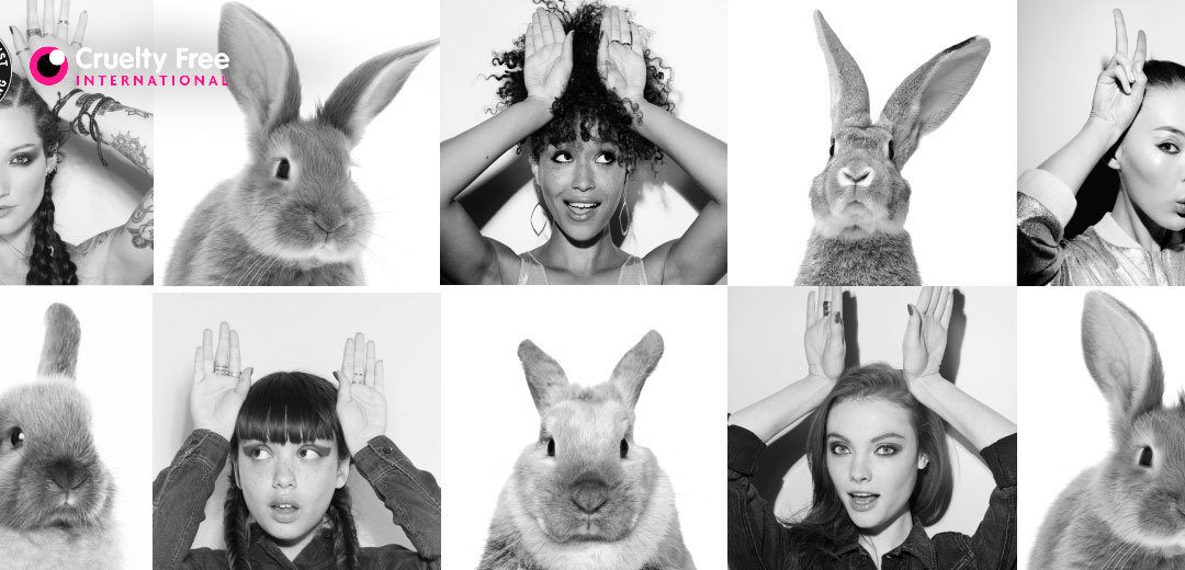8,3 milioni di firme contro l’animal testing in ambito cosmetico