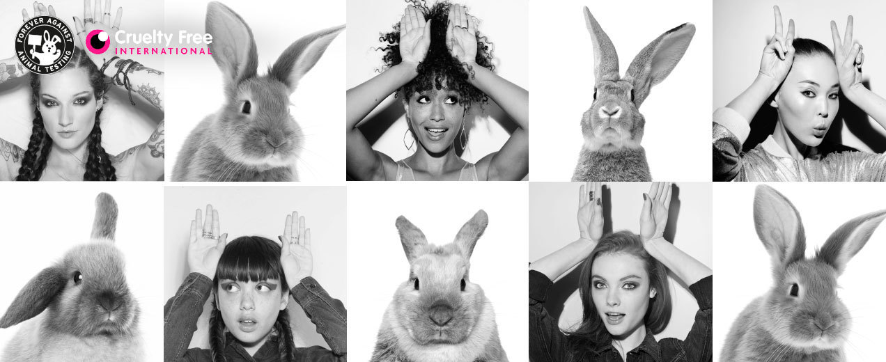 8,3 milioni di firme contro l’animal testing in ambito cosmetico